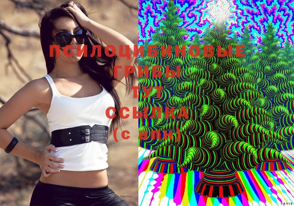 винт Осташков