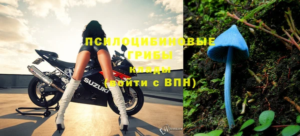 МДПВ Пересвет