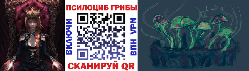 сколько стоит  Дальнереченск  это как зайти  Псилоцибиновые грибы MAGIC MUSHROOMS 