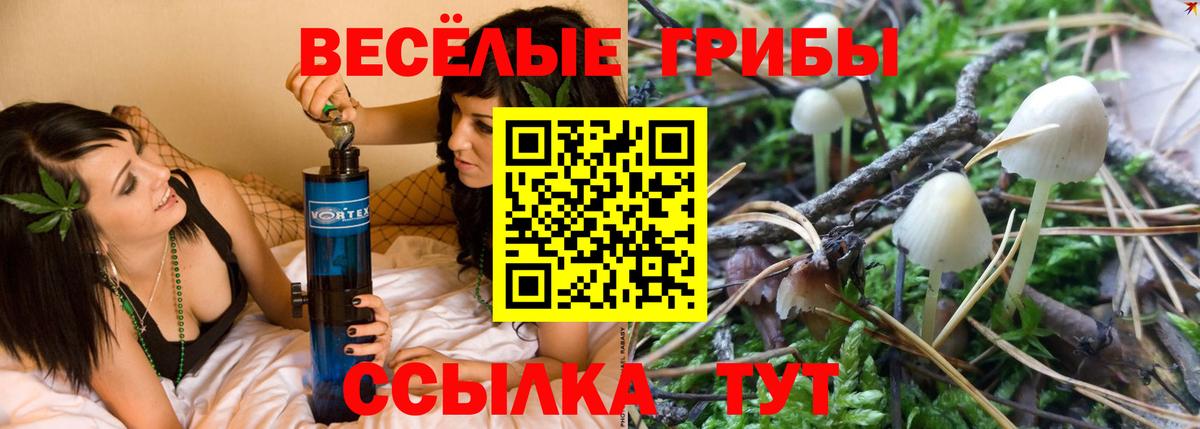 Галлюциногенные грибы прущие грибы Дальнереченск